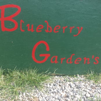 Blueberry Garden - The sign near the building - CSA Near Me - Cumming, Georgia Blueberry Garden - The sign near the building - CSA Near Me - Cumming, Georgia