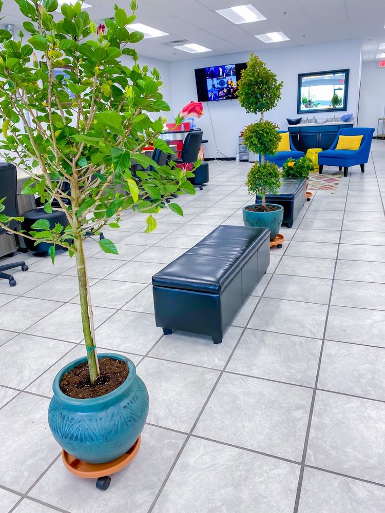 THE NAIL LOUNGE 53 Photos & 19 Reviews 2700 University Ave, West