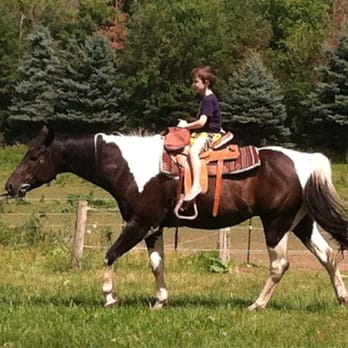 Country Yard Critters - Little cowboy - Petting Zoos Near Me