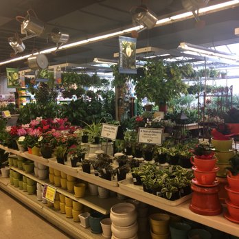 English Gardens - The answer that question is indoor plants and early spring stuff as well as a door ornamental items - Gardeners Near Me - West Bloomfield, Michigan