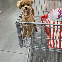 BJ's Wholesale Club - My love