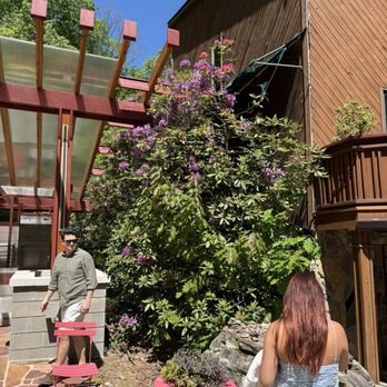 Tree Tops Restaurant - Outside - New American Near Me - Acme, Pennsylvania
