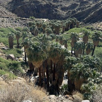 Indian Canyons - Parks Near Me - Palm Springs, California