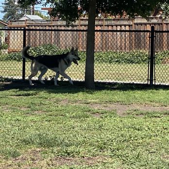Eden Greenway Dog Park - Dog Parks Near Me - Hayward, California