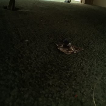 Admirals Cove - Used condom wrapper found under the bed. - Hotels Near Me - Lemoyne, Nebraska Admirals Cove - Used condom wrapper found under the bed. - Hotels Near Me - Lemoyne, Nebraska
