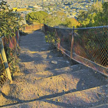 Corona Heights Park - Corona Heights Park - Dog Parks Near Me - San Francisco, California