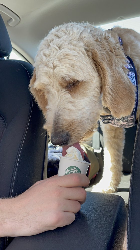 STARBUCKS 12 Reviews 750 Lacey Rd, Forked River, New Jersey