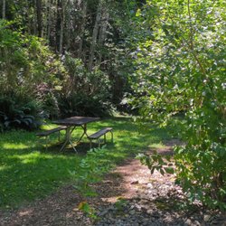 Port Ludlow Trails