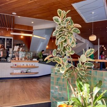 Verve Coffee Roasters - Entrance - Coffee & Tea Near Me - San Francisco, California Verve Coffee Roasters - Entrance - Coffee & Tea Near Me - San Francisco, California