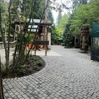 Capilano Suspension Bridge Park - Parks Near Me - North Vancouver, British Columbia