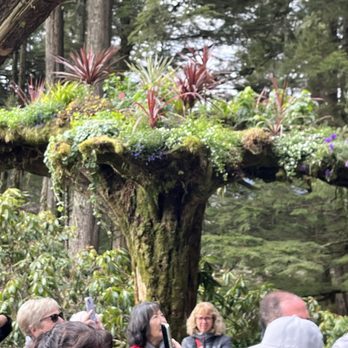 Glacier Gardens Rainforest Adventure - Botanical Gardens Near Me - Juneau, Alaska