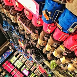 Lot Of Colors - Dentro