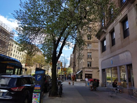 Blue Bottle Coffee by null