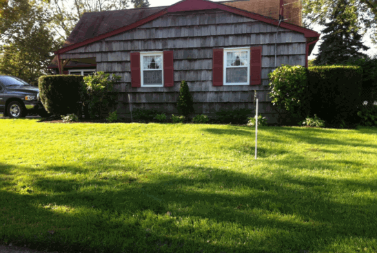 Slide of Shorty's Cesspool Service