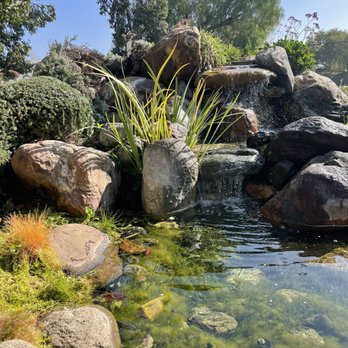 Fallbrook Coffee Co - Imagine sipping on your coffee or fruit smoothie while listening to the sounds of this relaxing fountain! - New American Near Me - Fallbrook, California Fallbrook Coffee Co - Imagine sipping on your coffee or fruit smoothie while listening to the sounds of this relaxing fountain! - New American Near Me - Fallbrook, California