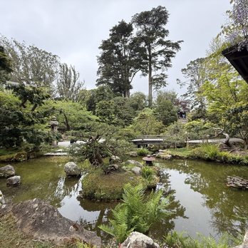 Japanese Tea Garden - Feeling zen! - Tea Rooms Near Me - San Francisco, California