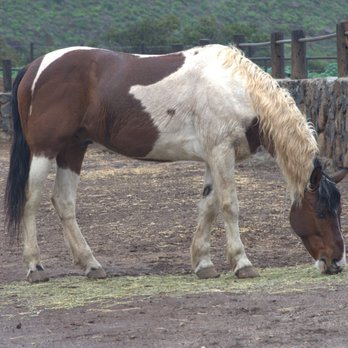 Rancho Los Bandidos - Horseback Riding Near Me - Ensenada, BCN
