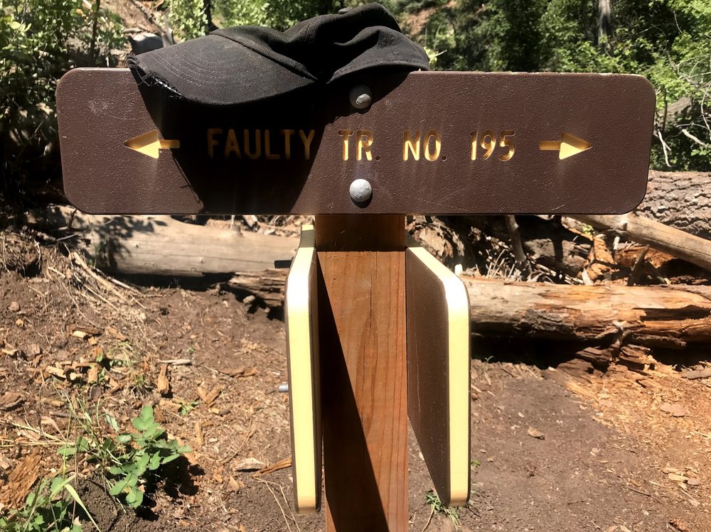 Sulphur Canyon Trail Logo