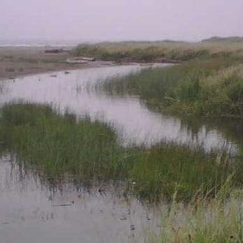 Ocean City State Park - My favorite shot - Parks Near Me - Hoquiam, Washington Ocean City State Park - My favorite shot - Parks Near Me - Hoquiam, Washington