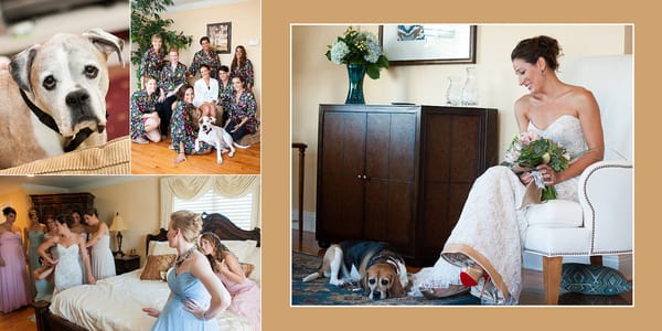 Contemporary Image Photographers