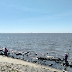 Paraná y el Río - #springtime #buenosaires #riodelaplata