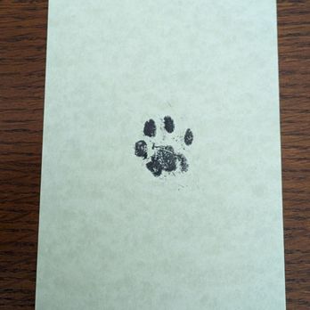Faithful Friend - Veterinarians Near Me