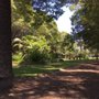 Photo of Petersham Oval