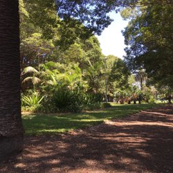 Petersham Oval - Tropical too !
