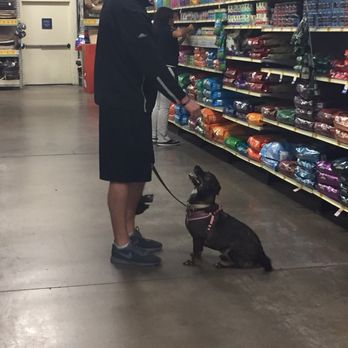 PetSmart - Pet Training Near Me - Joplin, Missouri PetSmart - Pet Training Near Me - Joplin, Missouri