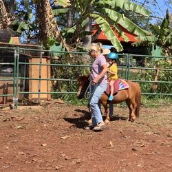 Heart Horses - We work with children ages 2 and up