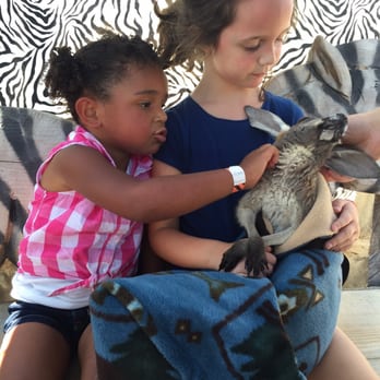 The Wild Animal Park - My daughter(holding joey), and my niece. We absolutely love it here! - Zoos Near Me - Chittenango, New York The Wild Animal Park - My daughter(holding joey), and my niece. We absolutely love it here! - Zoos Near Me - Chittenango, New York