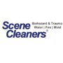 Scene Cleaners