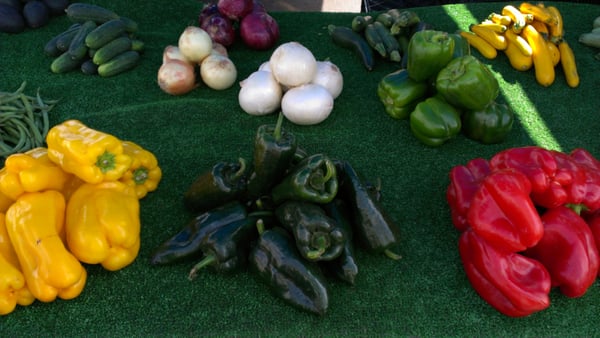 Galleria @ Tyler Farmers Market by null