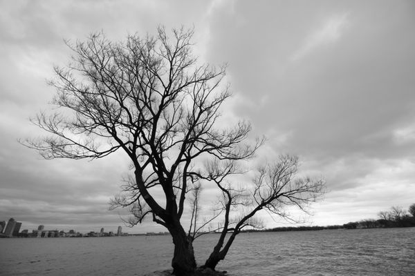 Toronto Island Park Olympic Island by null