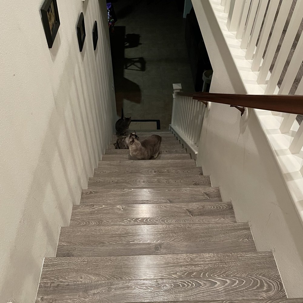 Flooring Direct Temecula - Carpet to laminate Stairs  I love it. - Carpeting Near Me - Temecula, California