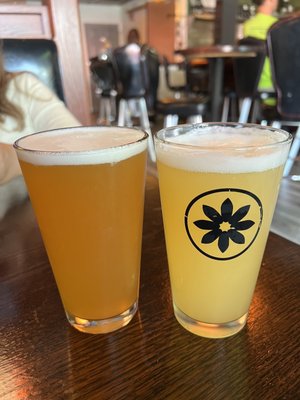 Steep Ravine Brewing Company by null