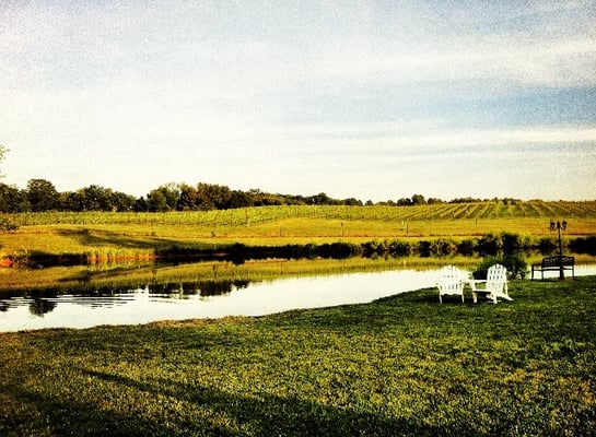 Narmada Winery by null