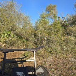 L&M Earthworks - Before underbrushing