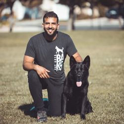 k9 agility training near me