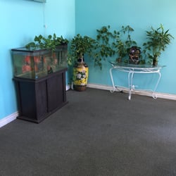 Taichi Reflexology - The cute waiting room. The pothos really likes its area and the gold fish are huge. Cute water wheel.