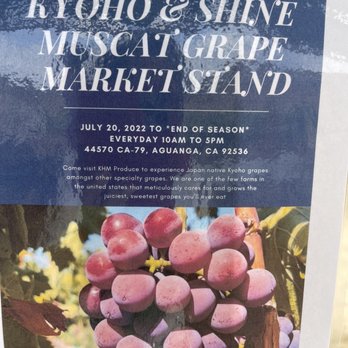 Khm Produce - Pick Your Own Farms Near Me - Aguanga, California