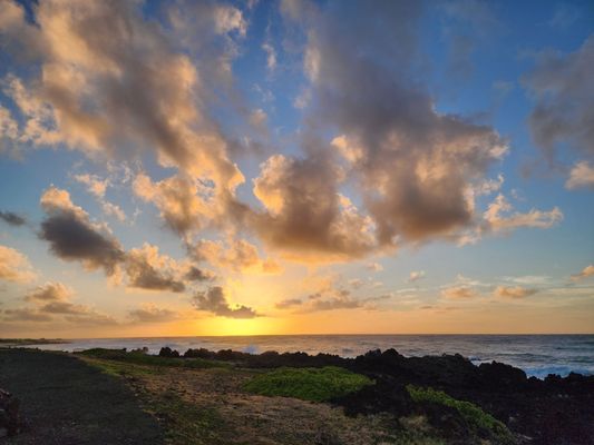 Makapuu Beach Park by null