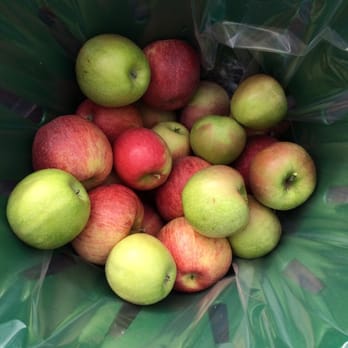 Homestead Farm - Fuji, cameo, pink lady, and Granny Smith - Fruits & Veggies Near Me - Poolesville, Maryland