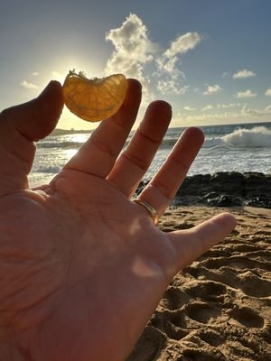Timbers Kaua‘i - Ocean Club & Residences by null