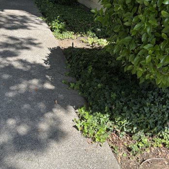 Elite Service Experts - Electricians Near Me - Sacramento, California