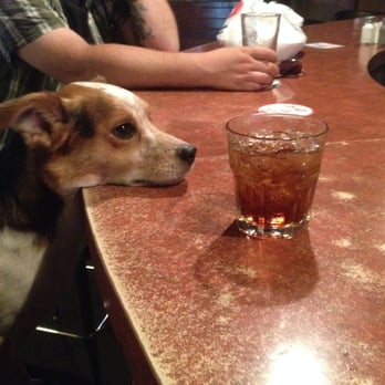 Whistle Stop Bar & Grill - Charlie the local Bar Dog! - Pubs Near Me - Welches, Oregon Whistle Stop Bar & Grill - Charlie the local Bar Dog! - Pubs Near Me - Welches, Oregon