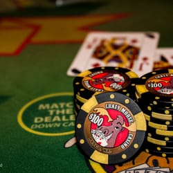Crazy Moose Casino Pasco