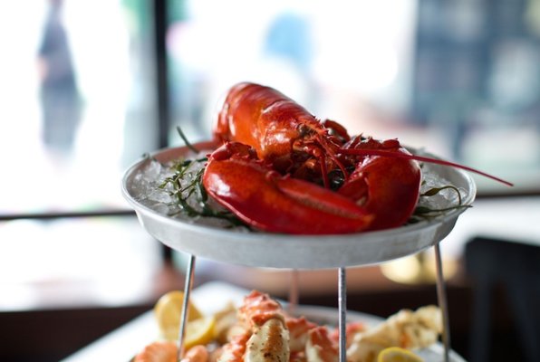 Docks Oyster Bar - Midtown East, NYC by null