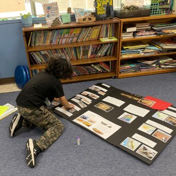 Glendale Montessori School - 1st grader creating presentation on fossils. - Elementary Schools Near Me - Glendale, California Glendale Montessori School - 1st grader creating presentation on fossils. - Elementary Schools Near Me - Glendale, California