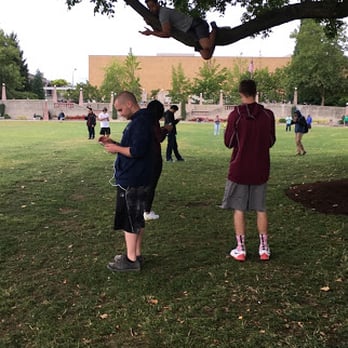 Bellevue Downtown Park - Poor example of a pokemon trainer - Parks Near Me - Bellevue, Washington